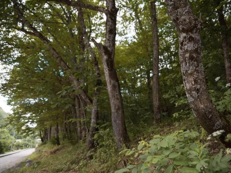 Best Resort Aghveran Hotel