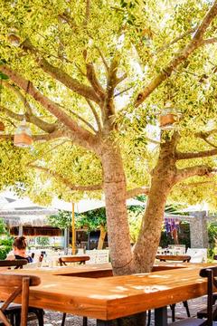 Отель Costa Farilya Special Class Hotel Bodrum Турция, Бодрум, фото 18