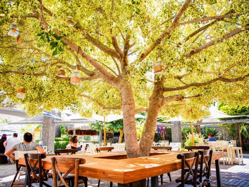 Costa Farilya Special Class Hotel Bodrum