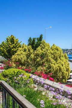 Отель Costa Farilya Special Class Hotel Bodrum Турция, Бодрум, фото 23