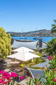 Отель Costa Farilya Special Class Hotel Bodrum Турция, Бодрум, фото 24
