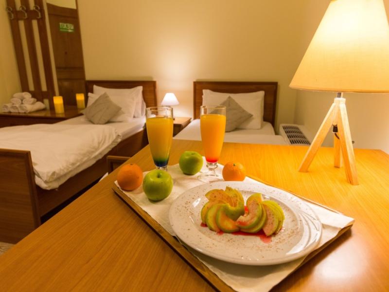 Hotel Baron