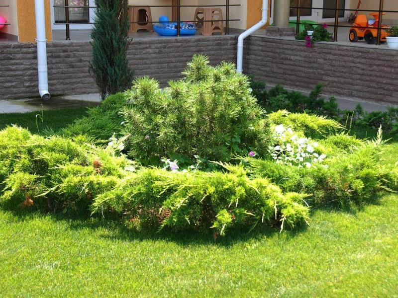 Золотая рыбка (Прибрежное)