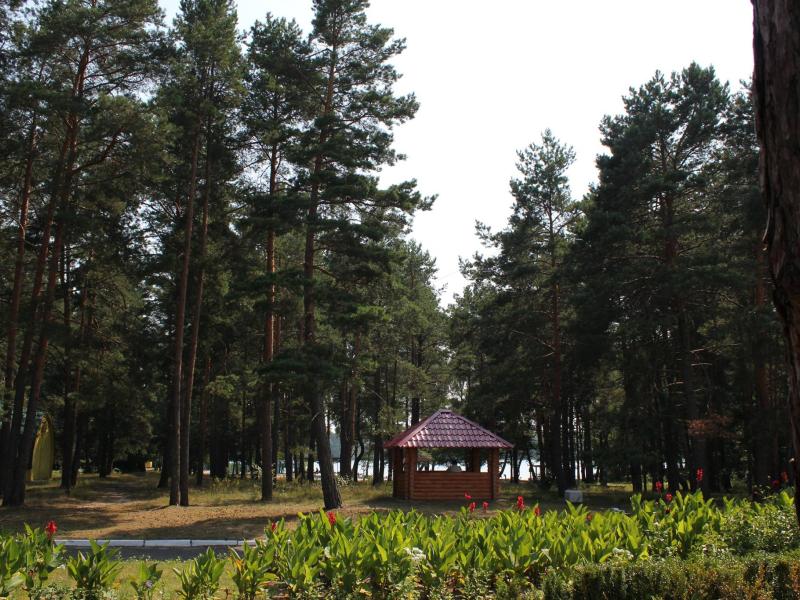 СКО Брестагроздравница