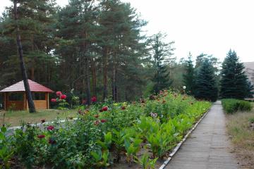 Отель СКО Брестагроздравница Беларусь, Брестская область, фото 32