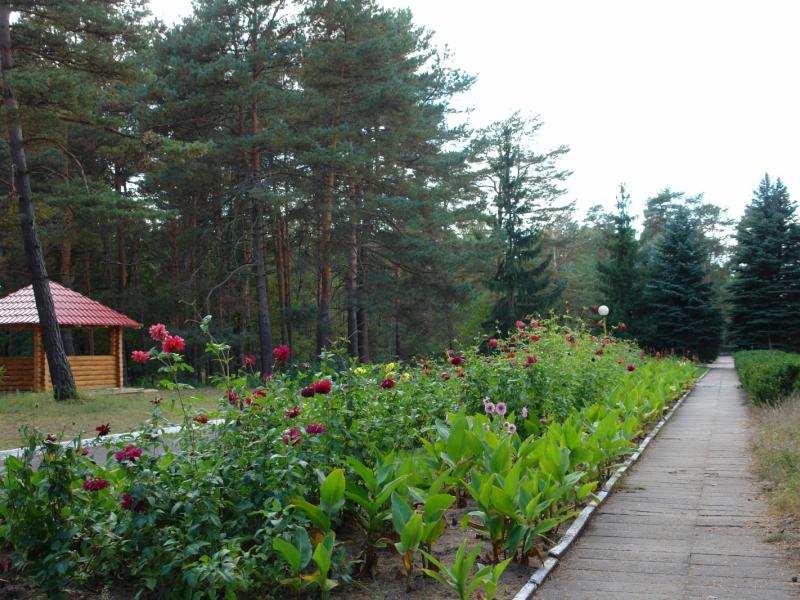 СКО Брестагроздравница