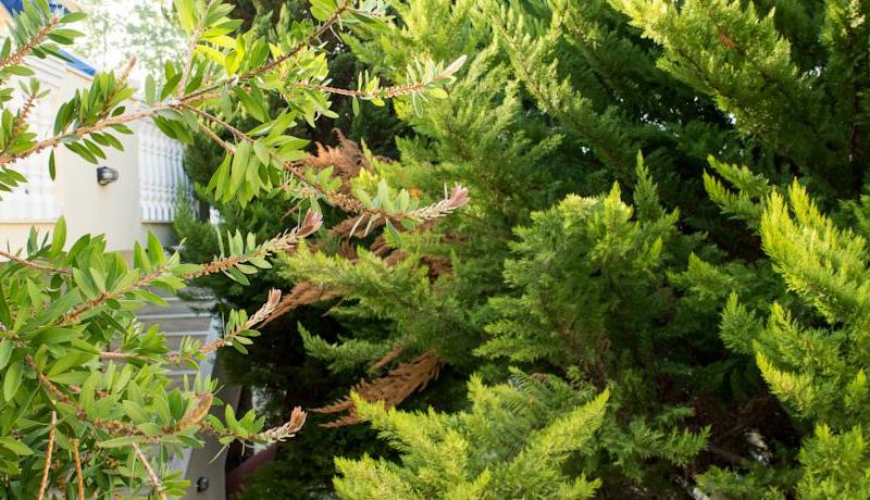 Christina Apartments