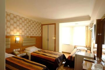 Отель Hotel Ozbek Istanbul Турция, Аксарай, фото 8