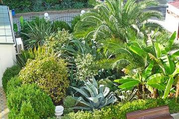 Отель Гостевой дом LaCosta Россия, Адлер, фото 2