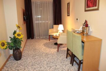 Отель Hotel Osaka Airport Турция, Бахчелиэвлер, фото 13