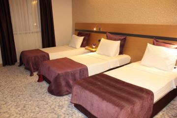 Отель Hotel Osaka Airport Турция, Бахчелиэвлер, фото 3