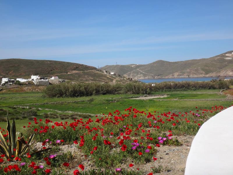 Anamar Boutique Hotel