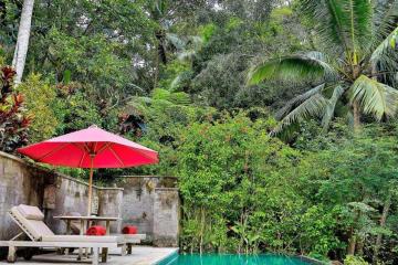 Отель Ayung Resort Ubud Индонезия, о Бали, фото 29