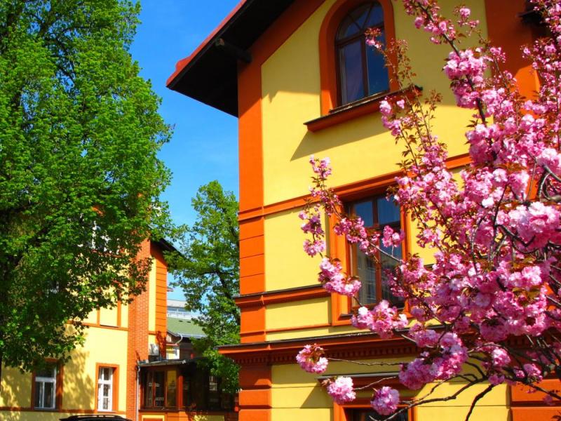 Alpin Avion Hotel