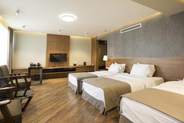 Отель Fortune Palace Hotel Грузия, Тбилиси, фото 21