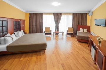 Отель Fortune Palace Hotel Грузия, Тбилиси, фото 9
