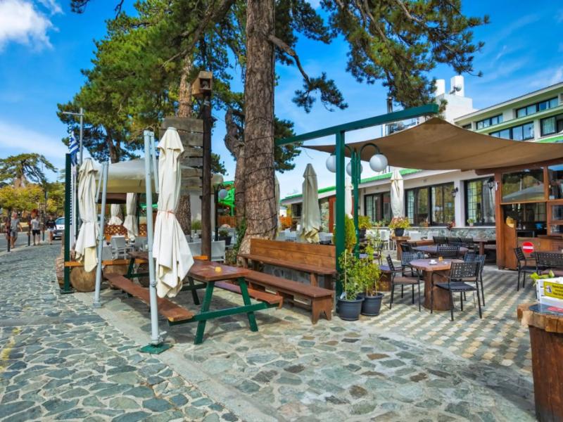 Troodos Hotel