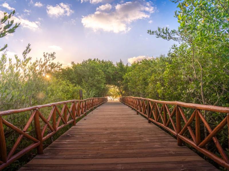 Platinum Yucatan Princess All Suites & Spa Resort