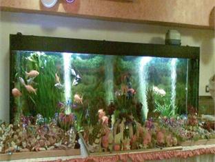 Class (Трансильвания)