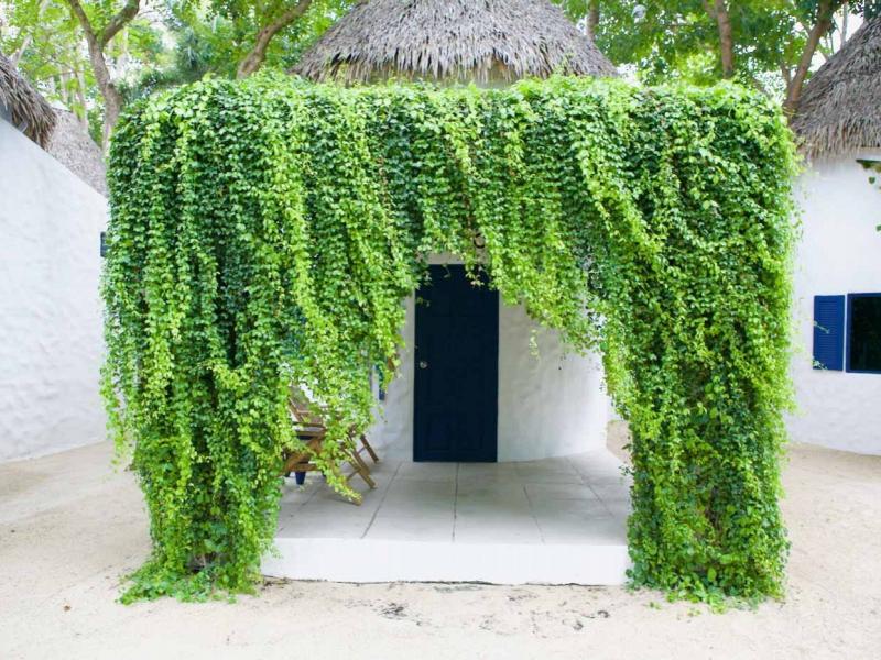 Lime N Soda Beachfront Resort