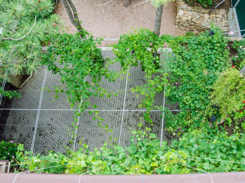 Сосновый бор