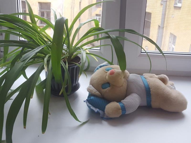 Идиллия