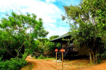 Отель Cinnamon Wild Yala Шри-Ланка, Тиссамахарама, фото 6