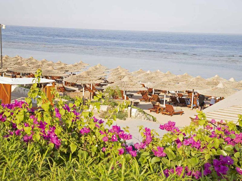 Cleopatra Luxury Resort