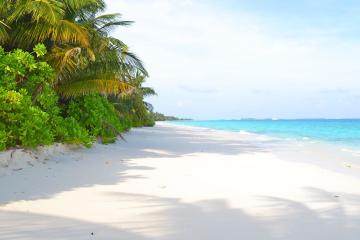 Отель TME Retreats Dhigurah Мальдивы, Ари Атолл, фото 26