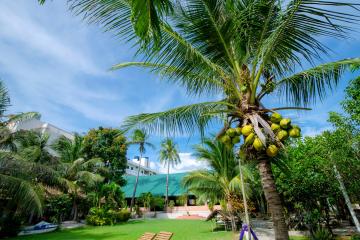 Отель Sun & Sands Beach Hotel Вьетнам, Муйне, фото 17