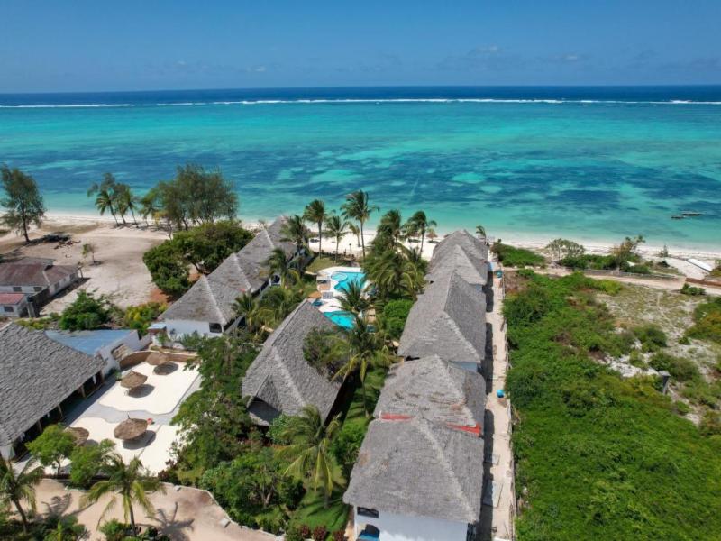 Nest Style Zanzibar