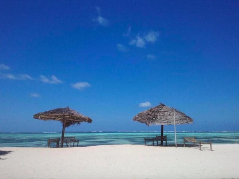 Nest Style Zanzibar