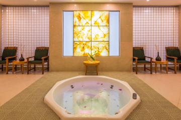 Отель Swissotel Al Murooj Dubai ОАЭ, Даунтаун Дубай, фото 25