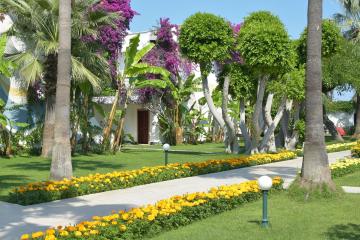 Отель Club Boran Mare Beach Турция, Гёйнюк, фото 19