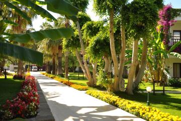 Отель Club Boran Mare Beach Турция, Гёйнюк, фото 25