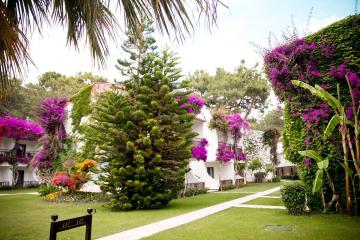 Отель Club Boran Mare Beach Турция, Гёйнюк, фото 26