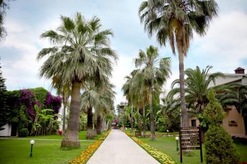 Отель Club Boran Mare Beach Турция, Гёйнюк, фото 4