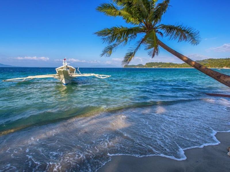 Tamaraw Beach Resort