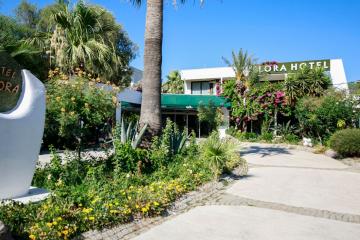 Отель Club Hotel Flora Турция, Бодрум, фото 16