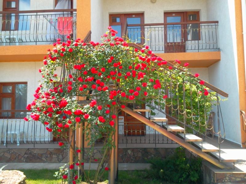 Пансионат Фламинго (Зазерное)
