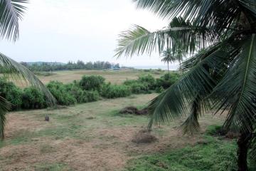 Отель Samira Beach Resort Индия, Морджим, фото 5