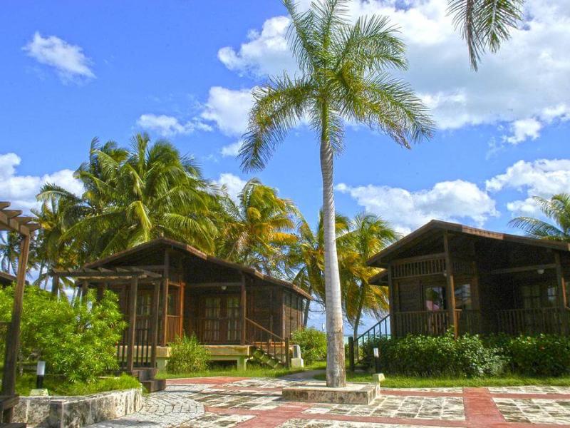 Starfish Cayo Guillermo