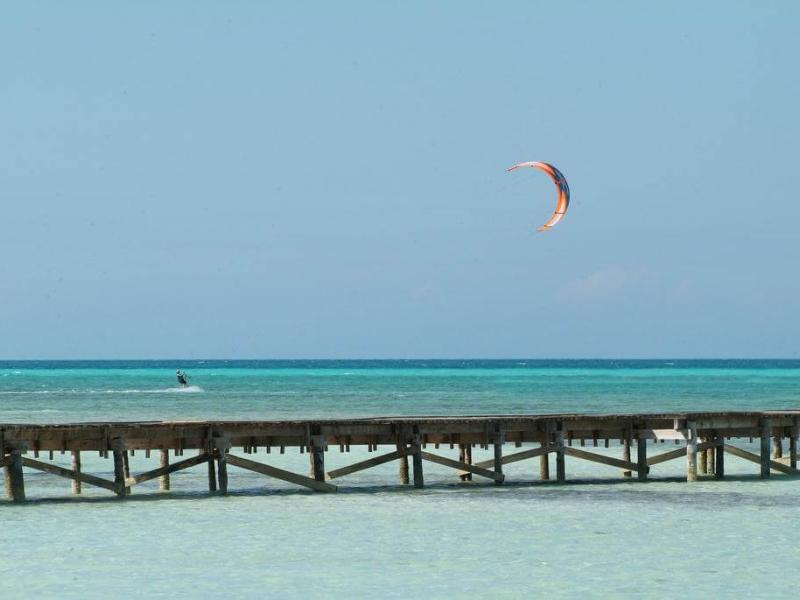 Starfish Cayo Guillermo