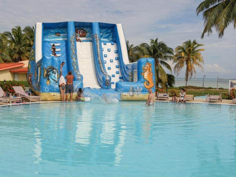 Starfish Cayo Guillermo