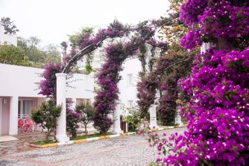 Отель Kadikale Resort Турция, Бодрум, фото 18