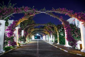 Отель Kadikale Resort Турция, Бодрум, фото 2