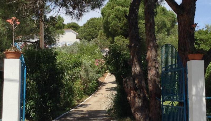 Aelia Studios