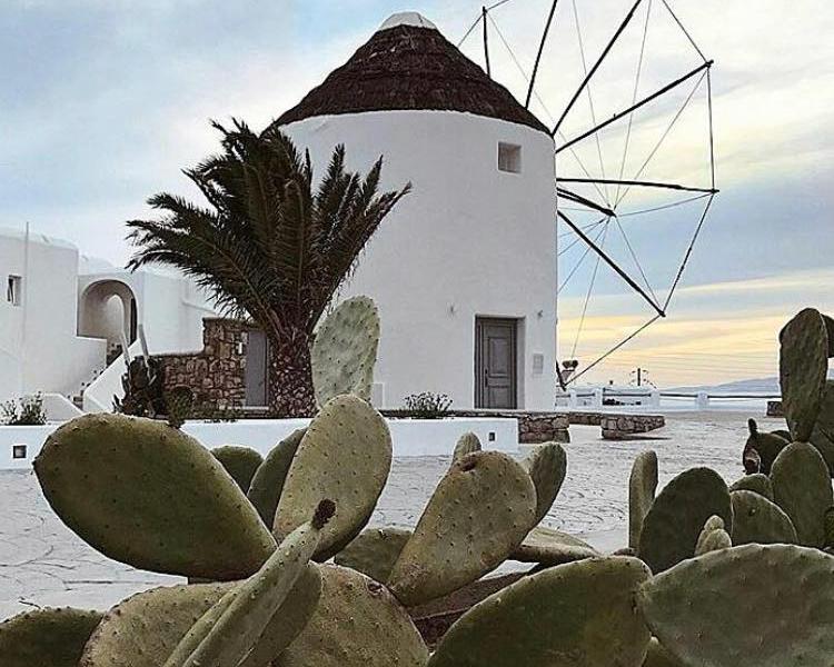 Absolut Mykonos Suites & More