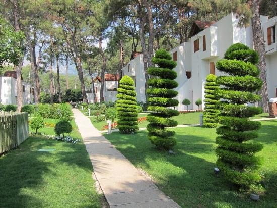 Club Med Kemer Palmiye