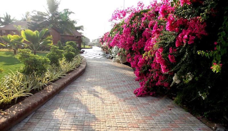 Beira Mar Beach Resort